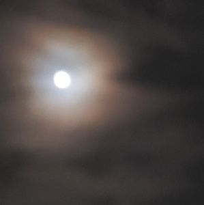 Meet your Posher, Paula